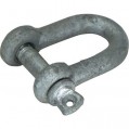 D Shackle Various Sizes